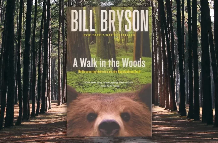 A Walk In The Woods