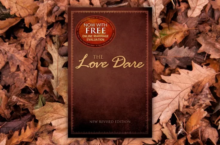 The Love Dare