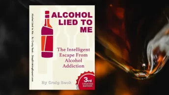 alcohol lied to me