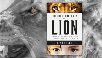 through the eyes of a lion