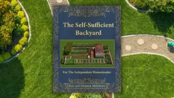 the self sufficient backyard